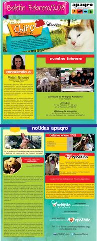 Sin Nombre